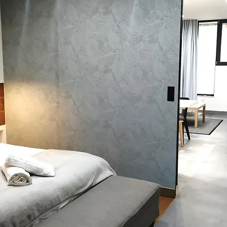 Asturin House - Parking Gratis Apartmán Salamanka